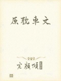 原耽车文