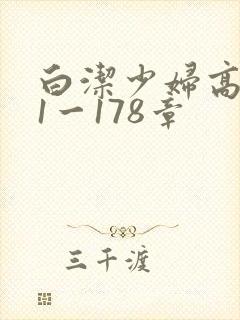 白洁少妇高义第1一178章