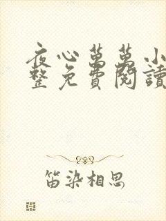夜心万万小说完整免费阅读全文