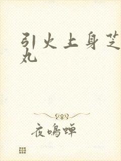 引火上身芝麻糖丸