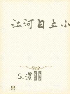 江河日上小说封面