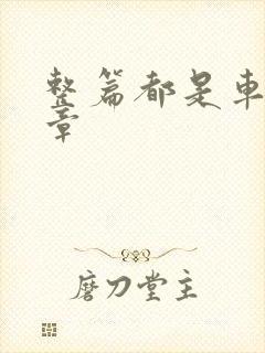 整篇都是车的文章