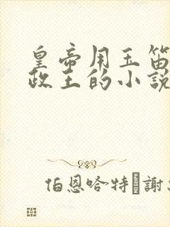 皇帝用玉笛整摄政王的小说封面