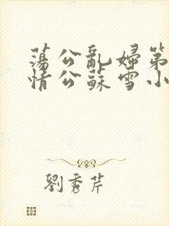 荡公乱妇第1章情公苏雪小说