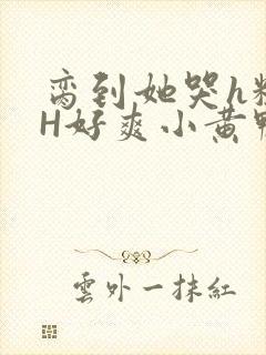 脔到她哭h粗话H好爽小黄鸭视频