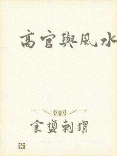 高官与风水封面