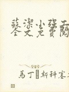 苏洁小强工地情全文免费阅读