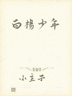 白杨少年