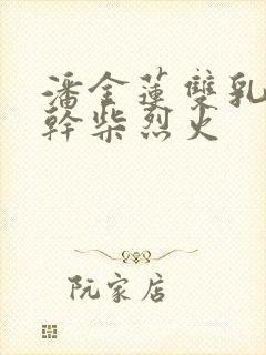 潘金莲双乳晃动干柴烈火封面