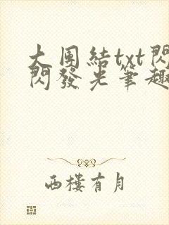 大团结txt闪闪发光笔趣阁封面