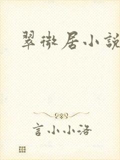 翠微居小说