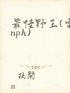 最佳野王(电竞nph)
