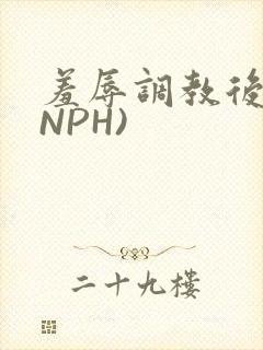 羞辱调教后宫(NPH)