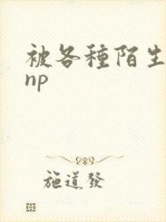 被各种陌生人 np