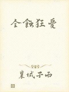 全蚀狂爱封面