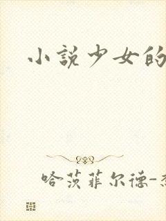 小说少女的心