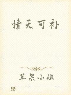 情天可补