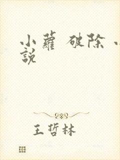 小萝 破除 小说