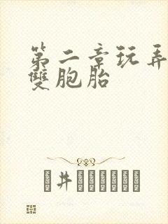 第二章玩弄少妇双胞胎