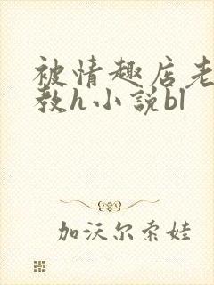 被情趣店老板调教h小说bl