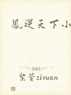 凤逆天下小说