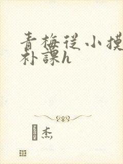 青梅从小摸到大补课h