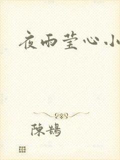 夜雨莹心小说