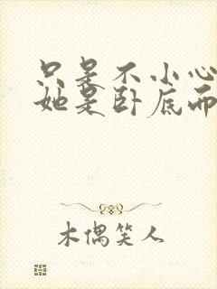 只是不小心发现她是卧底而已