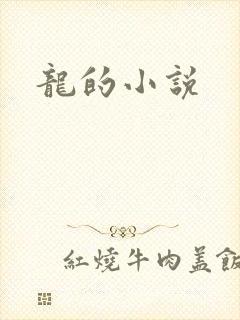 龙的小说