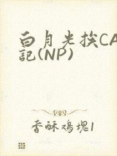 白月光挨CAO记(NP)封面