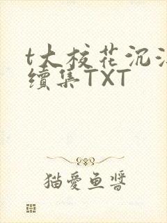 t大校花沉浮录续集TXT封面