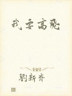 我要高飞封面