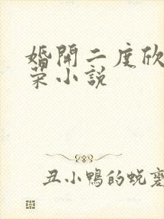 婚开二度欣欣向荣小说