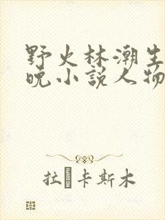 野火林潮生林晚晚小说人物野火