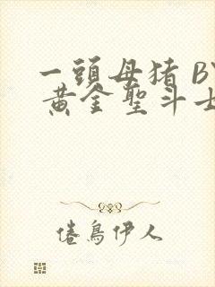 一头母猪 BY 黄金圣斗士