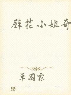 壁花小姐奇遇记