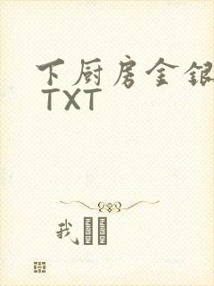 下厨房金银花露 TXT封面