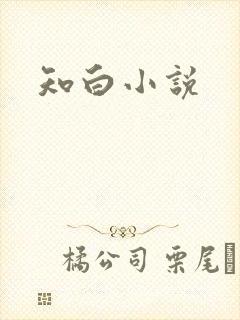 知白小说