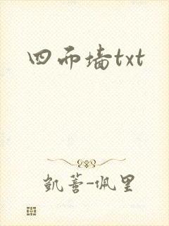 四面墙txt封面