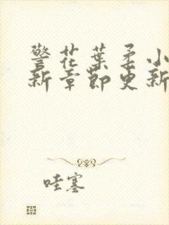 警花叶柔小说最新章节更新