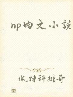 np肉文小说