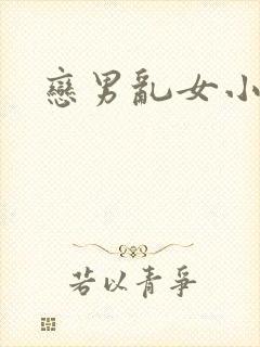 恋男乱女小说