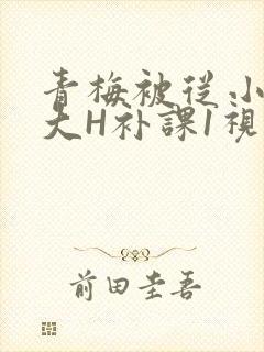 青梅被从小摸到大H补课1视频
