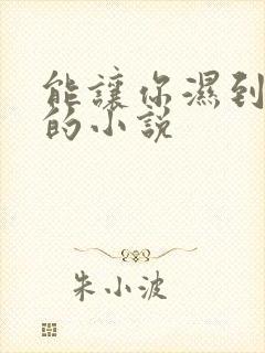 能让你湿到不行的小说