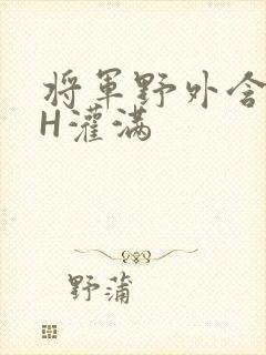 将军野外含公主H灌满