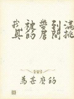 我被带到满是玩具的房间挑调游戏