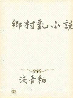 乡村乱小说
