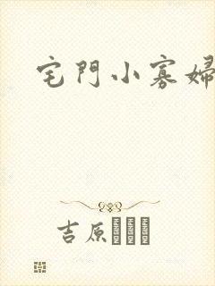 宅门小寡妇