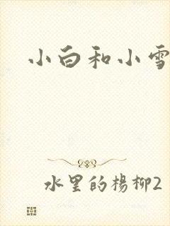 小白和小雪