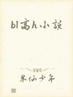 bl高h小说